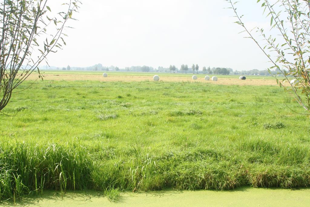 Camping De Grienduil Nieuwland  Luaran gambar